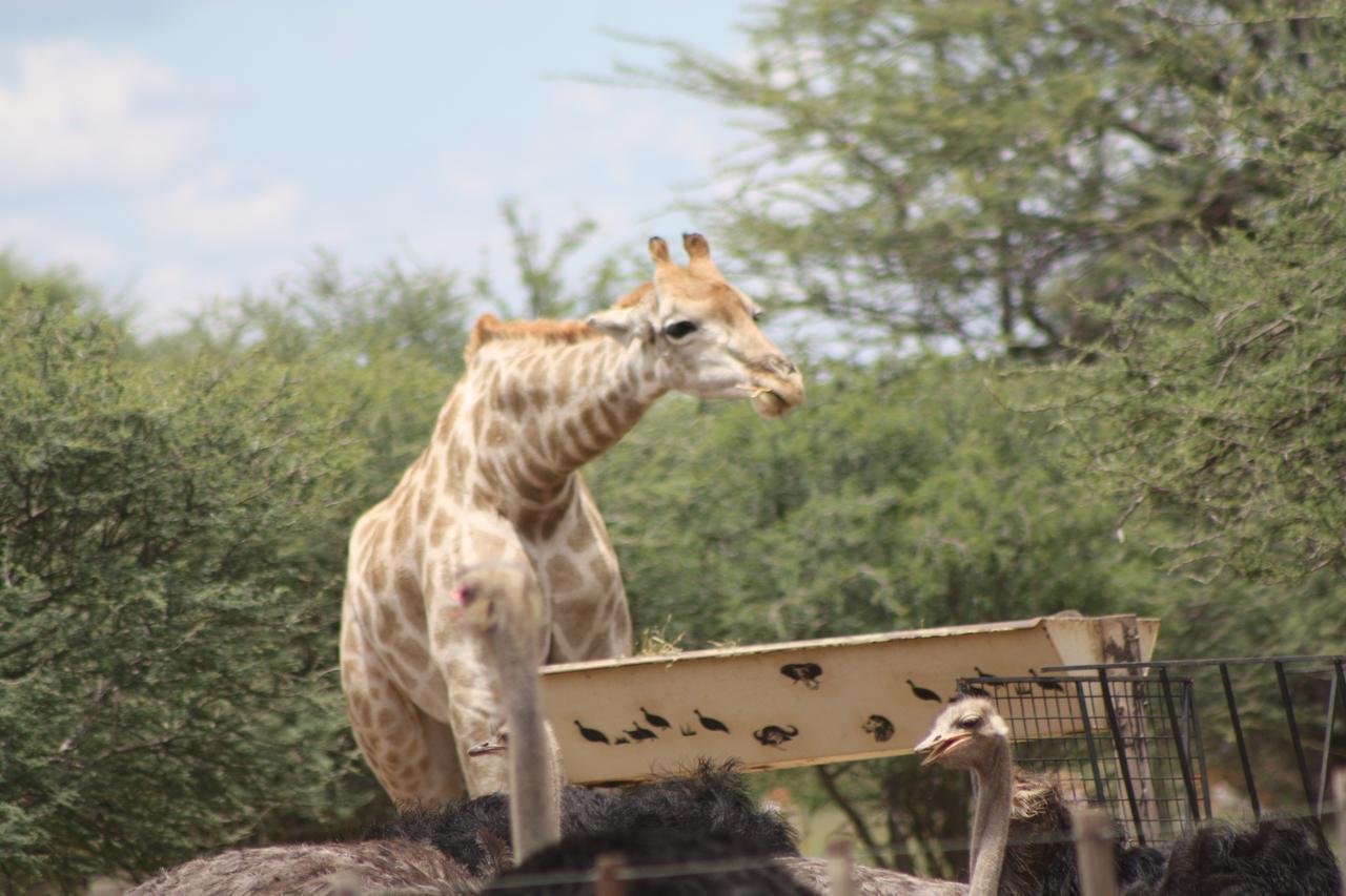 Ombo Rest Camp Hotell Okahandja Eksteriør bilde