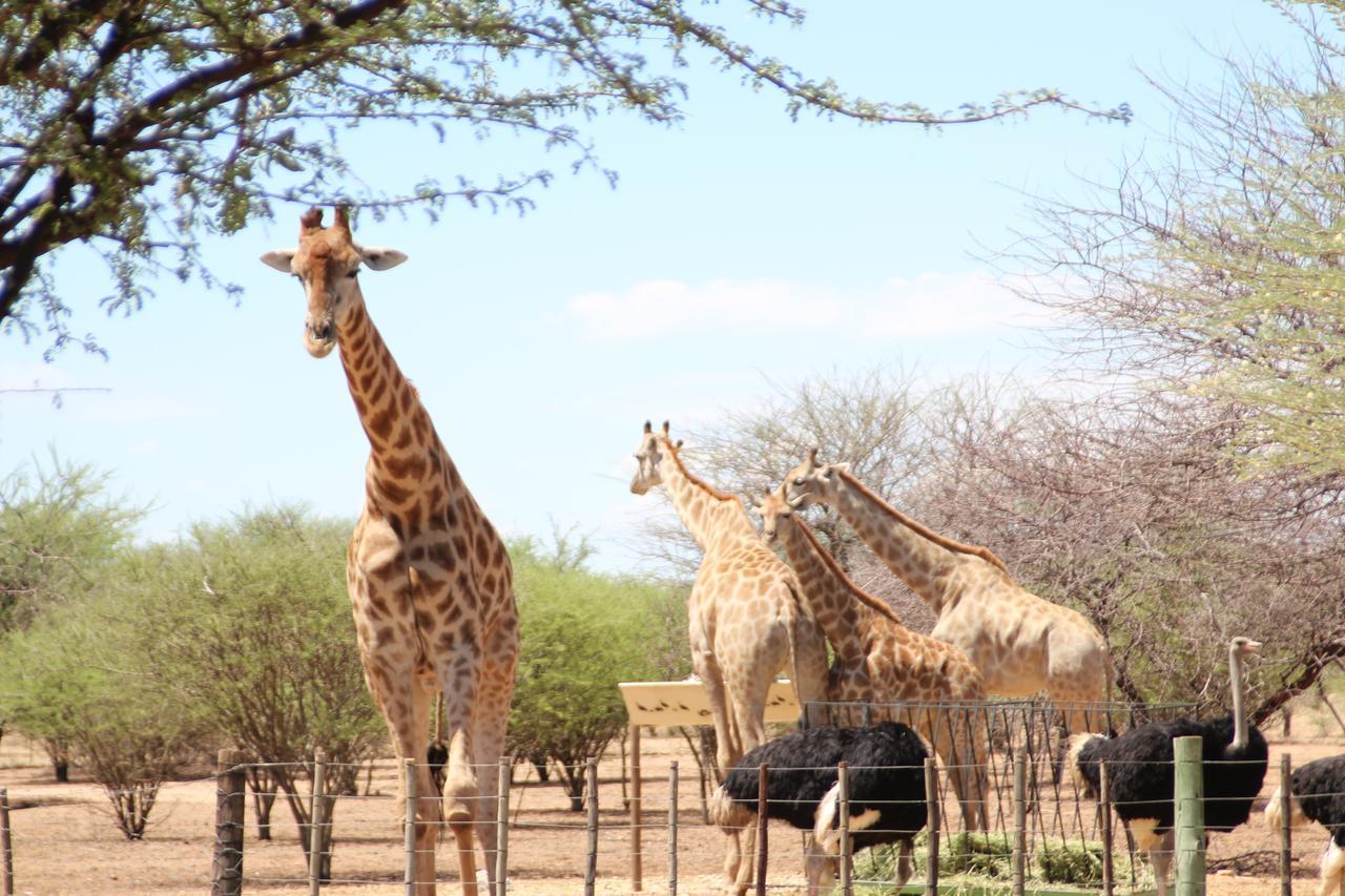 Ombo Rest Camp Hotell Okahandja Eksteriør bilde