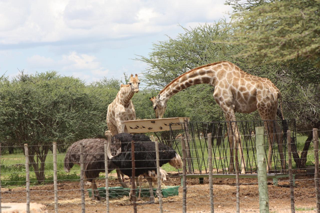 Ombo Rest Camp Hotell Okahandja Eksteriør bilde